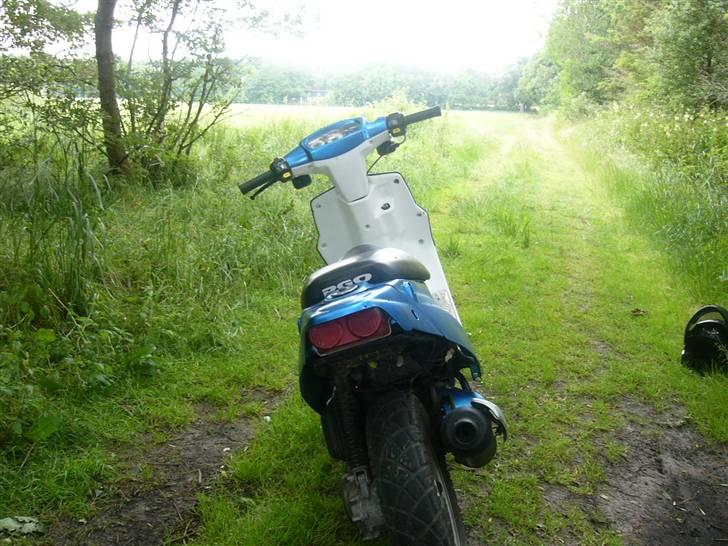 PGO Hot 50 (solgt) billede 5