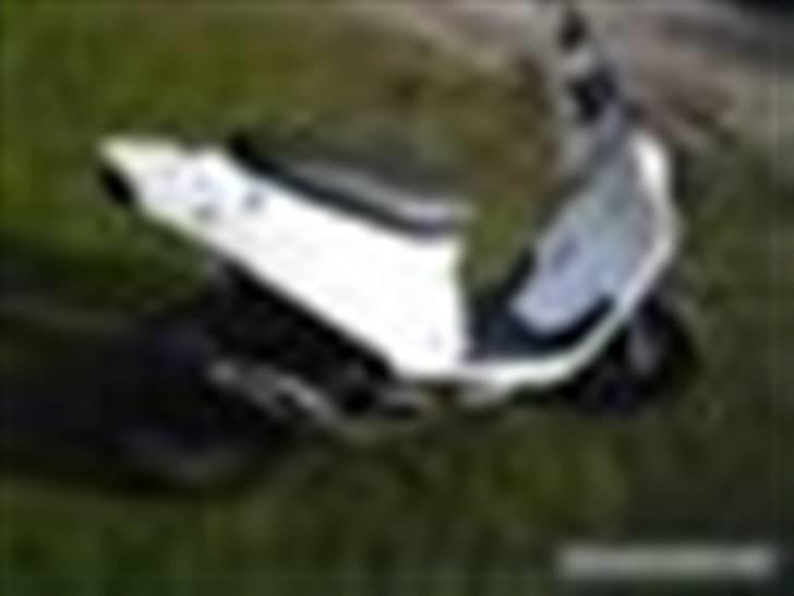 PGO hot 50 / byttet til jog billede 12