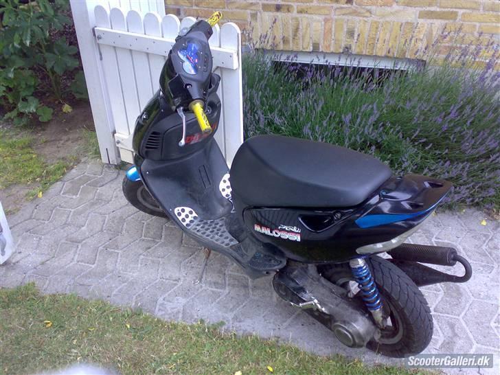 Aprilia Sonic [projekt] billede 2