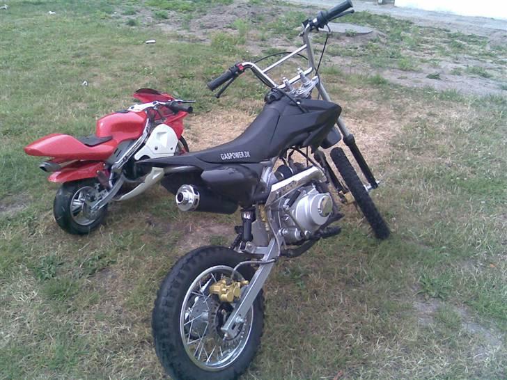 Lifan  " Gas poweren " - Ja de bliver behandlet som babyer :b billede 16