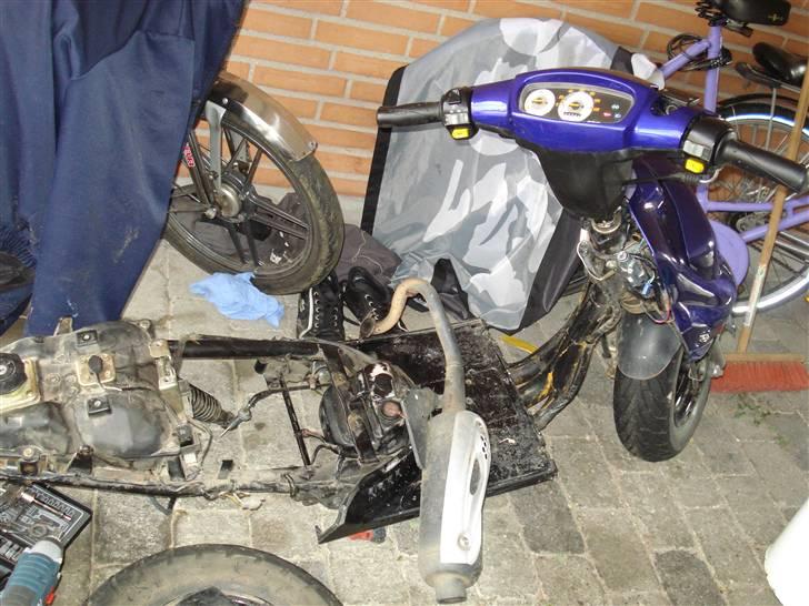 PGO Hot 50 (lotte) - som Lotte er lige nu :S billede 18