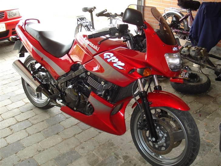 PGO Hot 50 (lotte) - Lotte´s storesøster :P billede 19