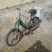 Puch Maxi P E50