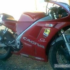 Cagiva Mito SÆLGES