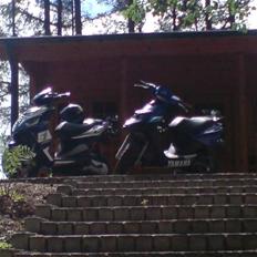 Yamaha bws  ng/spy  byttet -ssm