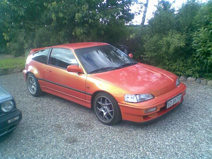 Honda Dax billede 15