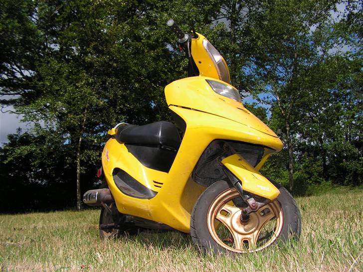 Stranger Qingqi tilsalg *SOLGT* billede 6