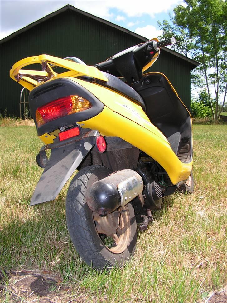 Stranger Qingqi tilsalg *SOLGT* billede 9