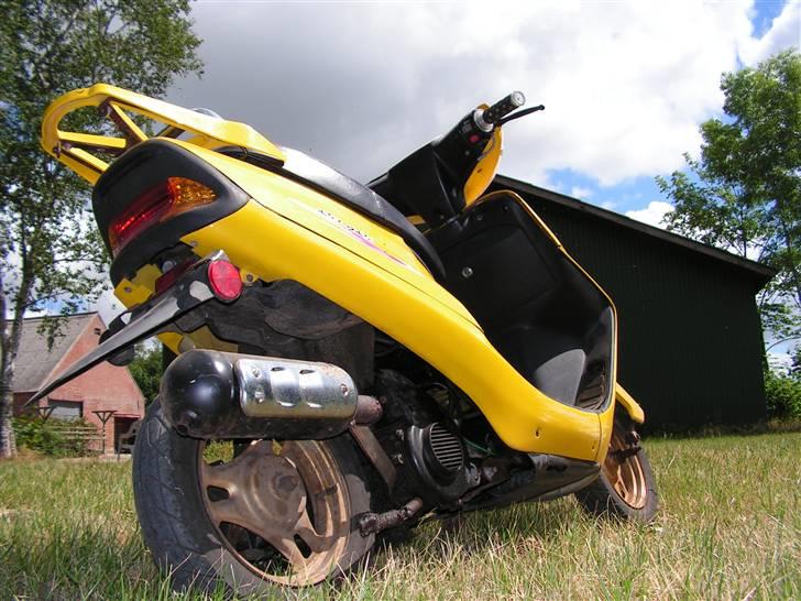 Stranger Qingqi tilsalg *SOLGT* billede 10