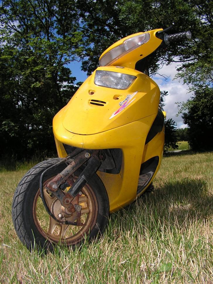 Stranger Qingqi tilsalg *SOLGT* billede 11