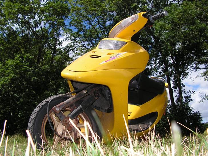 Stranger Qingqi tilsalg *SOLGT* billede 14