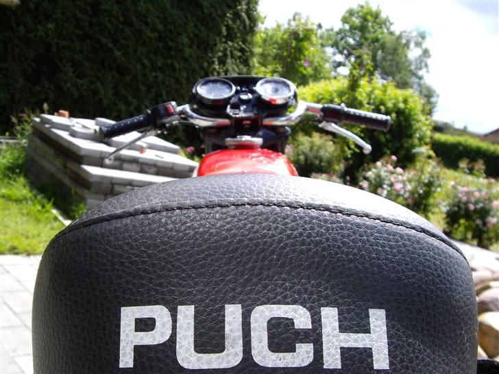 Puch monza juvel - solgt - billede 15