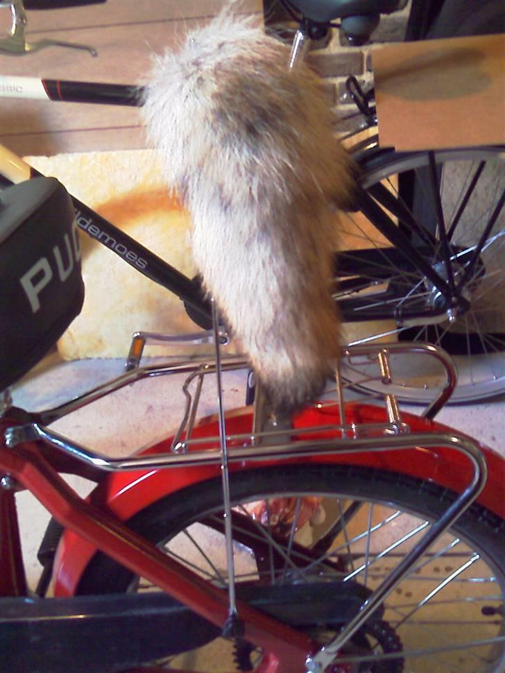 Puch Maxi K .:SOLGT:. - Rævehale på teleskopsantenne, foldet ud... billede 14