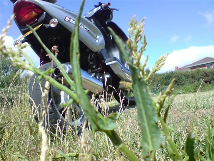 CPI Oliver City. solgt billede 10