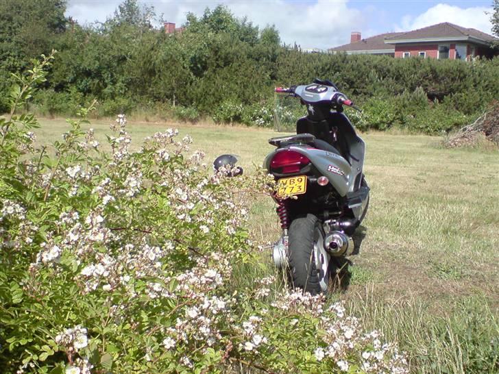 CPI Oliver City. solgt billede 13