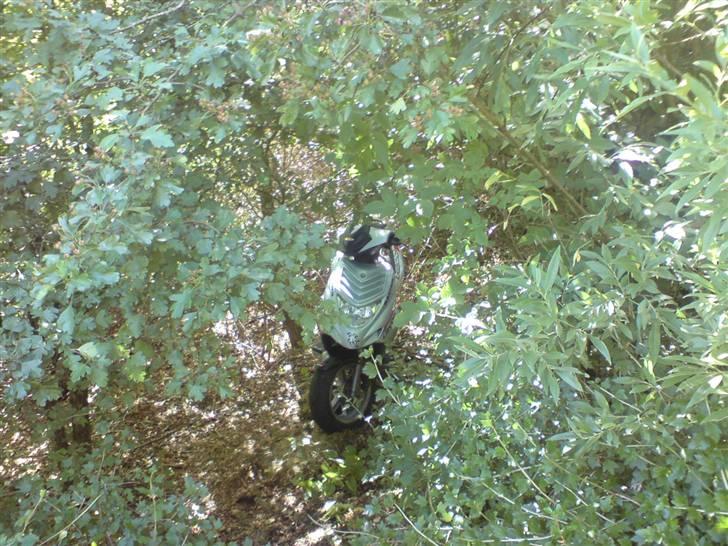 CPI Oliver City. solgt billede 14