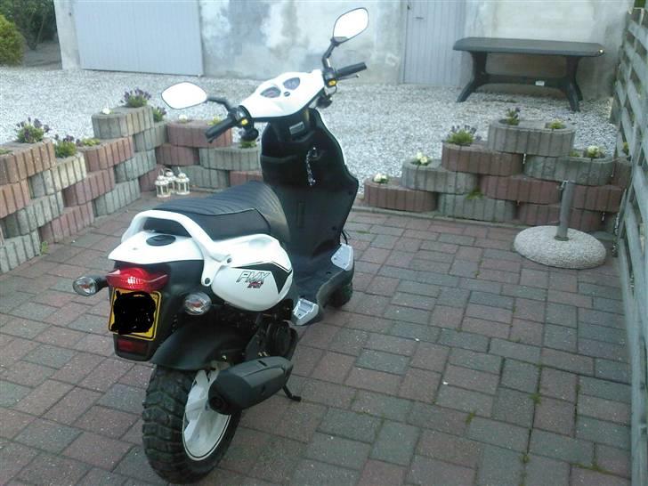 PGO PMX SPORT - solgt billede 2