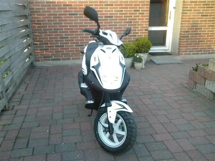 PGO PMX SPORT - solgt billede 3