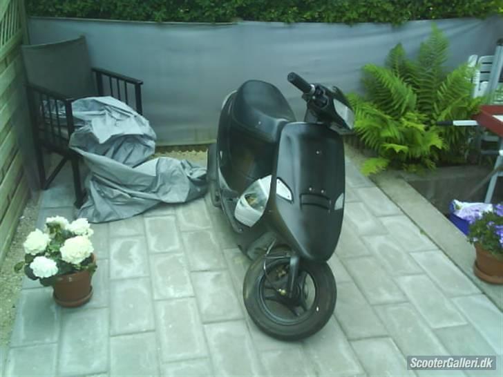PGO Comet billede 6