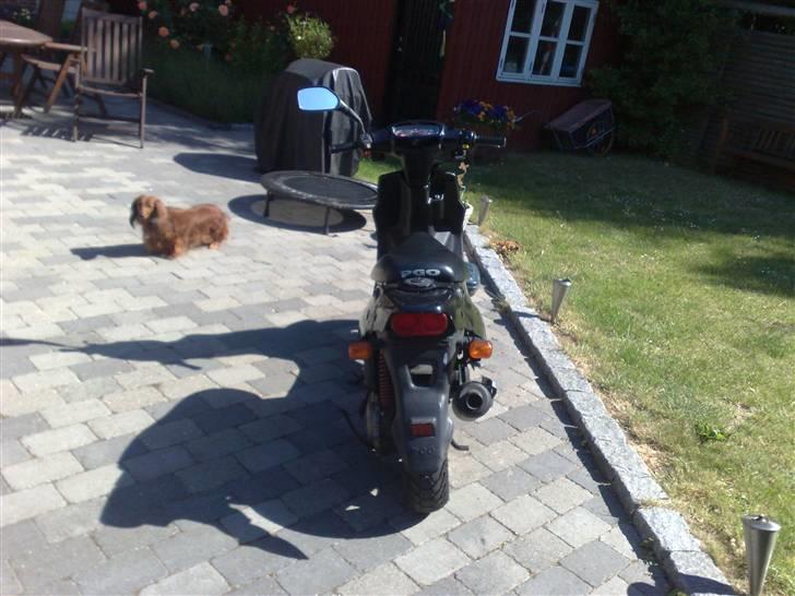 PGO hot 50 - Gammelt billede 9