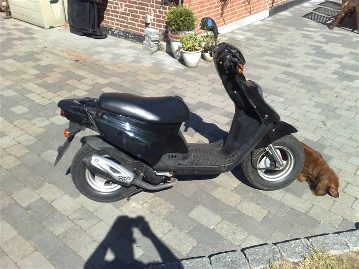 PGO hot 50 - Gammelt billede 10