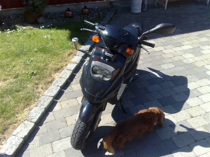 PGO hot 50 - Gammelt billede 11