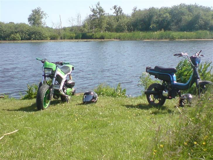 Suzuki Street magic Solgt billede 9