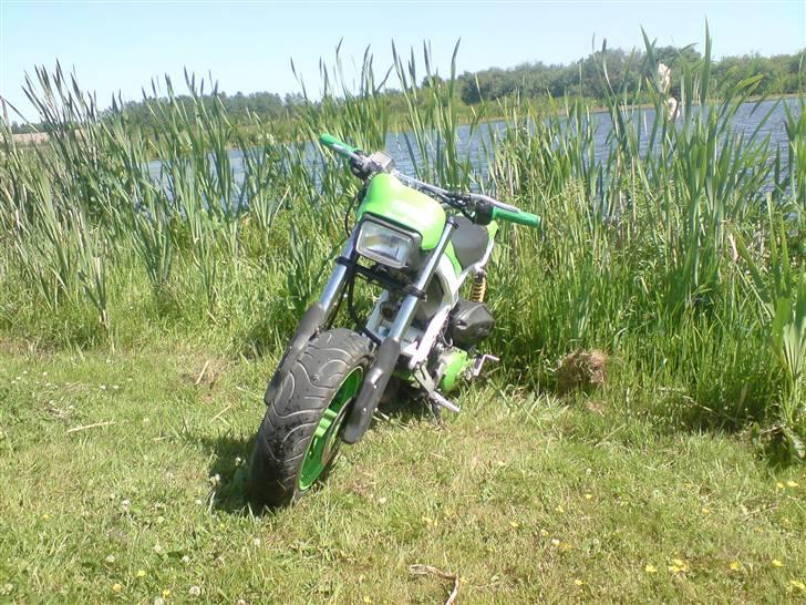 Suzuki Street magic Solgt billede 10