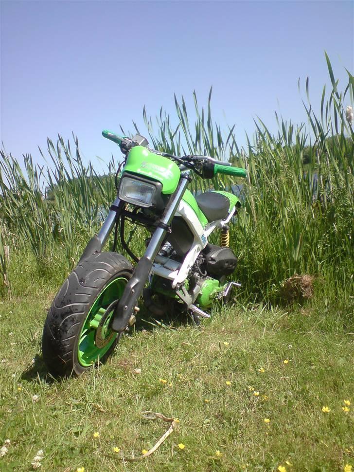 Suzuki Street magic Solgt billede 11