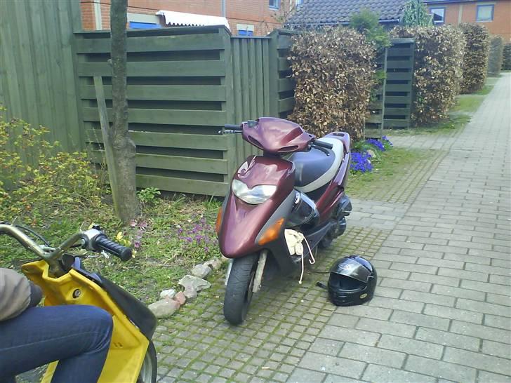 Honda SFX (Ex'ens) SOLGT billede 6