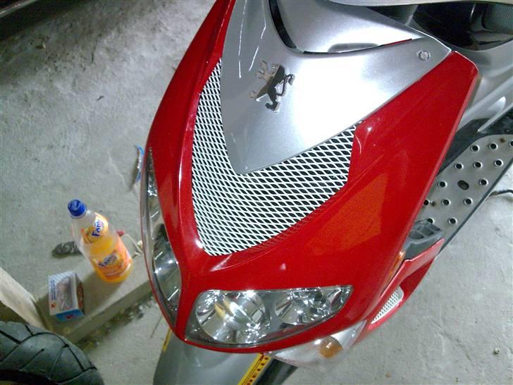 Peugeot speedfight rally victory - gitter foran billede 9