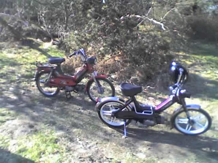 Puch maxi k amilion -solgt- billede 12