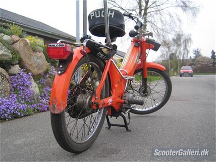 Puch Maxi k billede 7