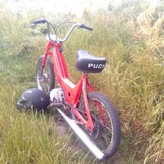 Puch maxi k SOLGT