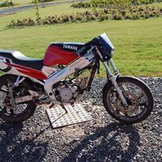 Yamaha TZR 50 - byttet