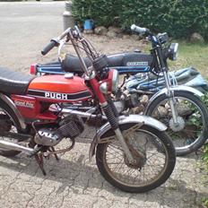 Puch grand prix