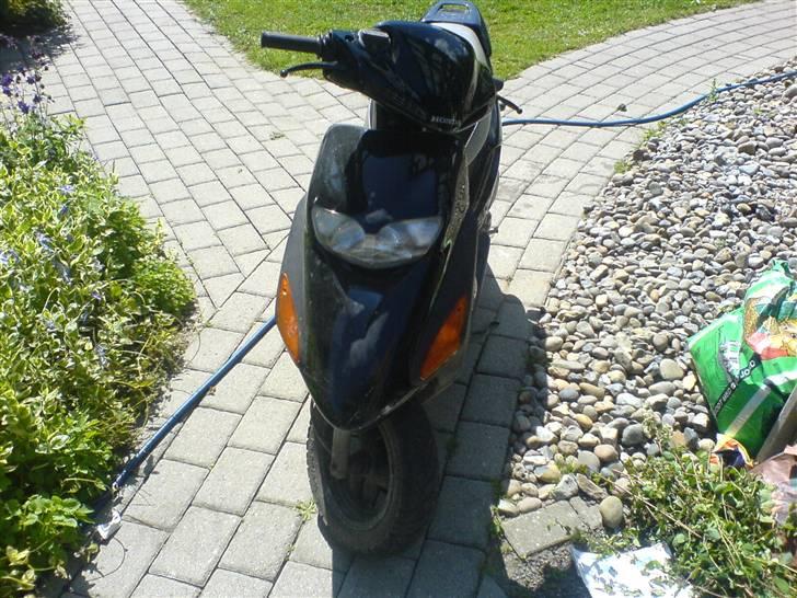 Honda sfx - Honda´en billede 1