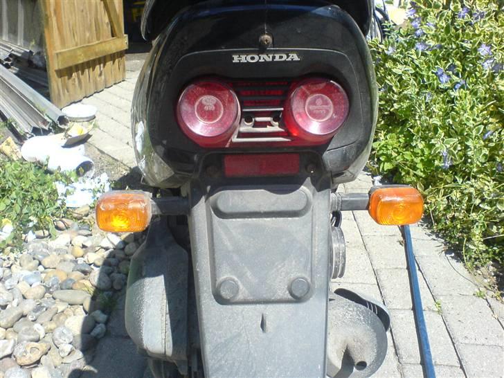 Honda sfx - Bagenden af Sfx´en billede 4