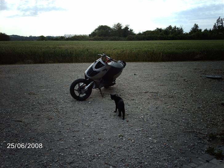 Aprilia sonic/sr50 lc dd solgt billede 1