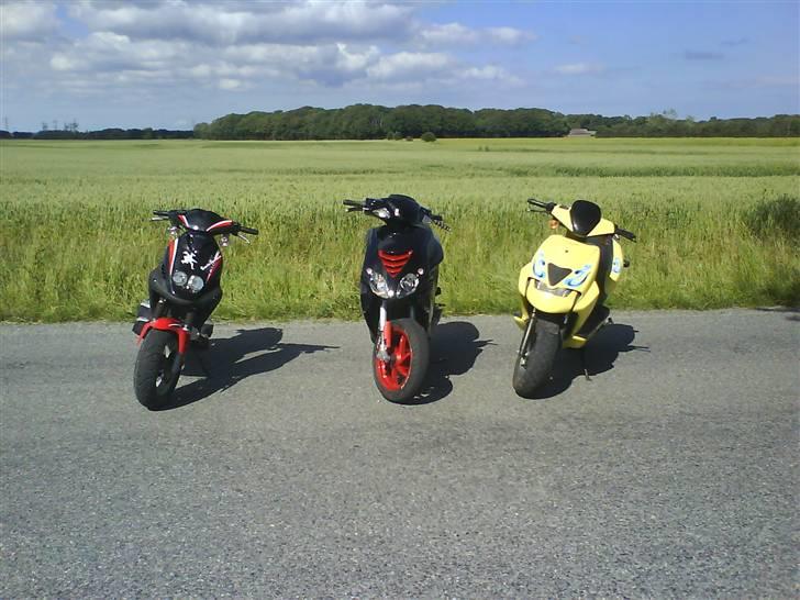 PGO pmx sport solgt:/ billede 16