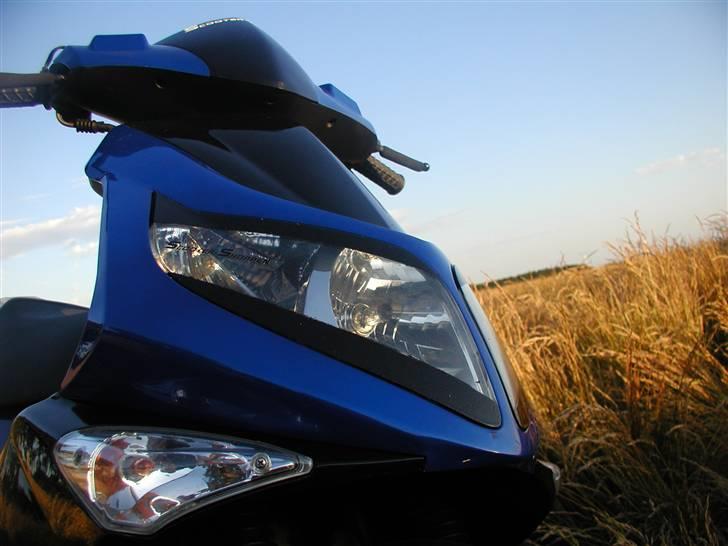 PGO G-max Gjorde det godt billede 13