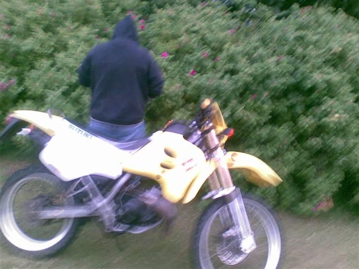 Suzuki RMXén <33 billede 3