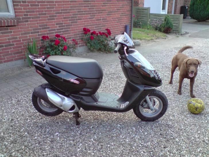 Aprilia Sonic AC GP Solgt billede 5