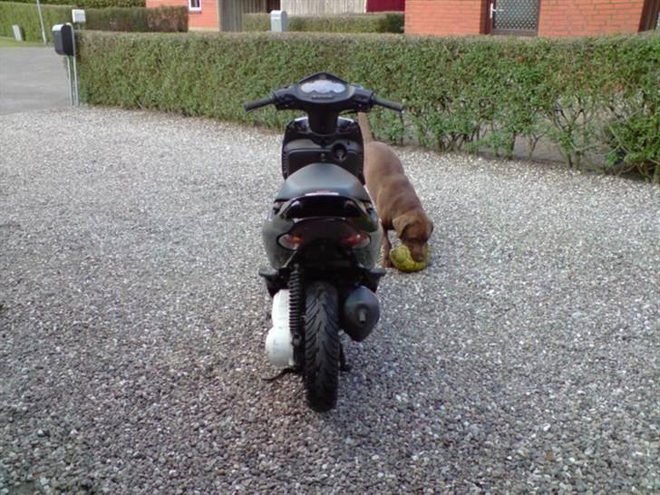 Aprilia Sonic AC GP Solgt billede 7