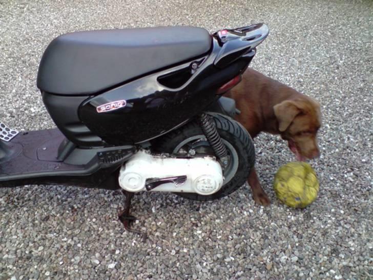 Aprilia Sonic AC GP Solgt billede 11