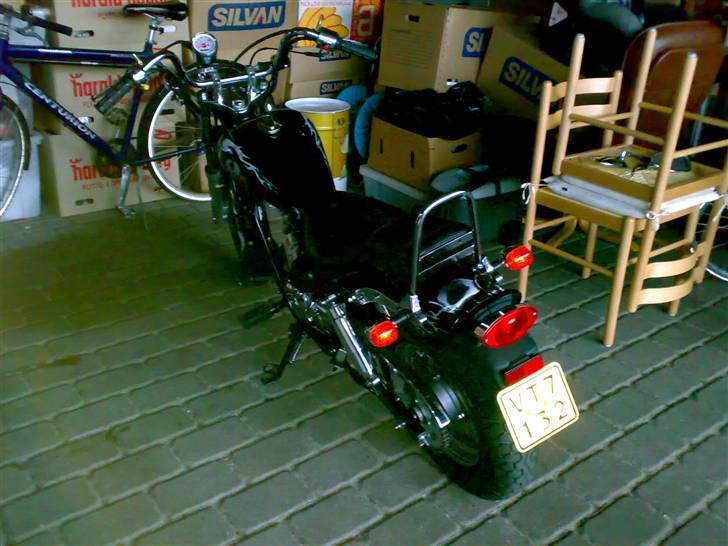 Regal raptor £@$SOLGT@£$ billede 2