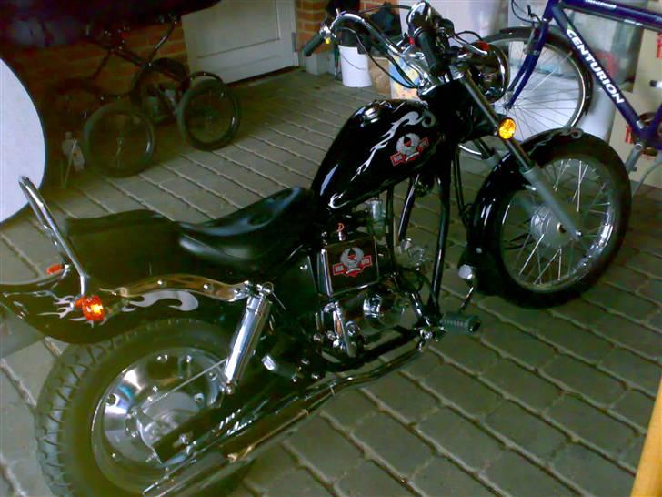 Regal raptor £@$SOLGT@£$ billede 3