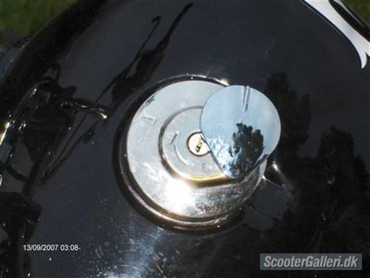 Regal raptor £@$SOLGT@£$ billede 4