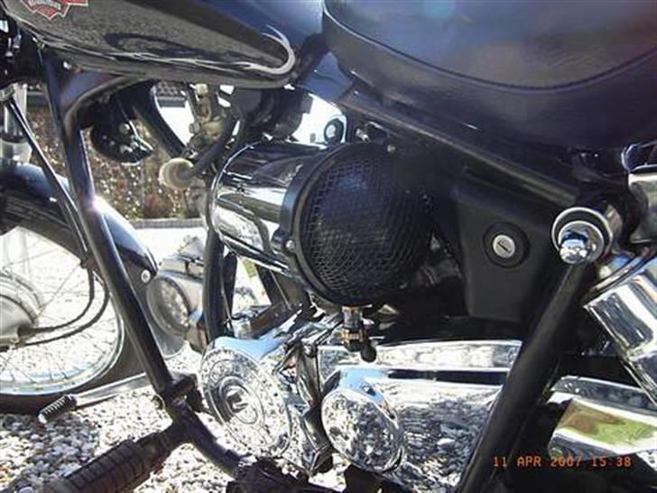 Regal raptor £@$SOLGT@£$ billede 6