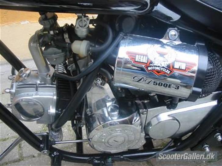 Regal raptor £@$SOLGT@£$ billede 7